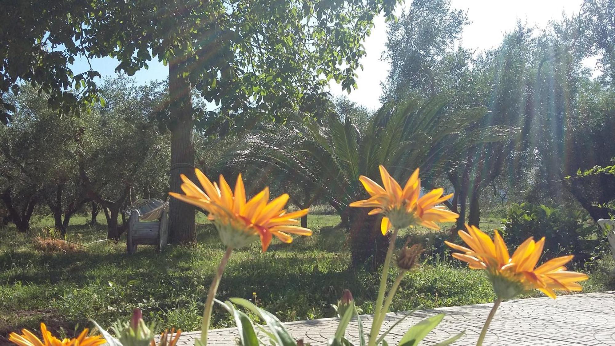 Agriturismo Santa Maria Marta Bagian luar foto