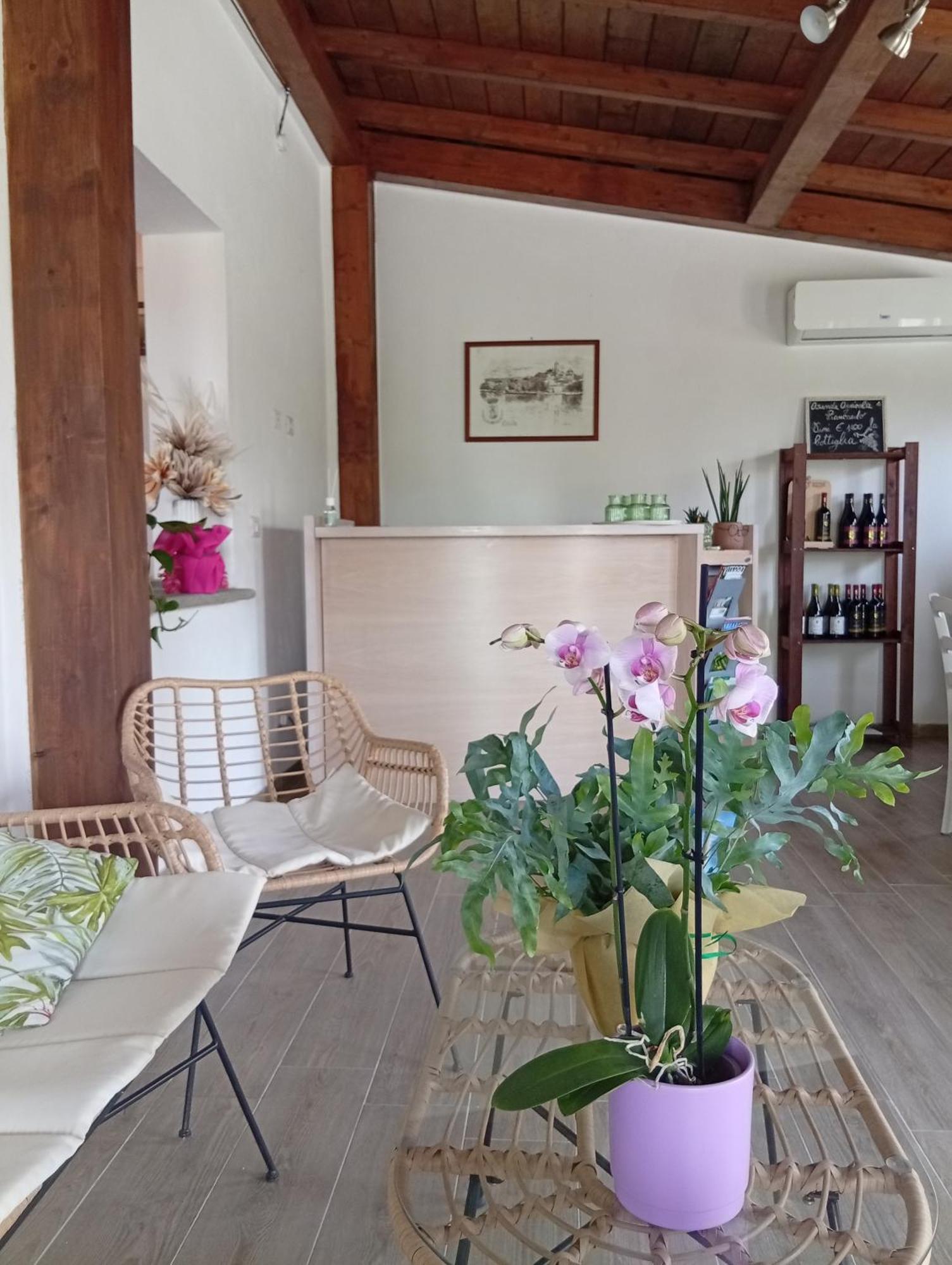 Agriturismo Santa Maria Marta Bagian luar foto