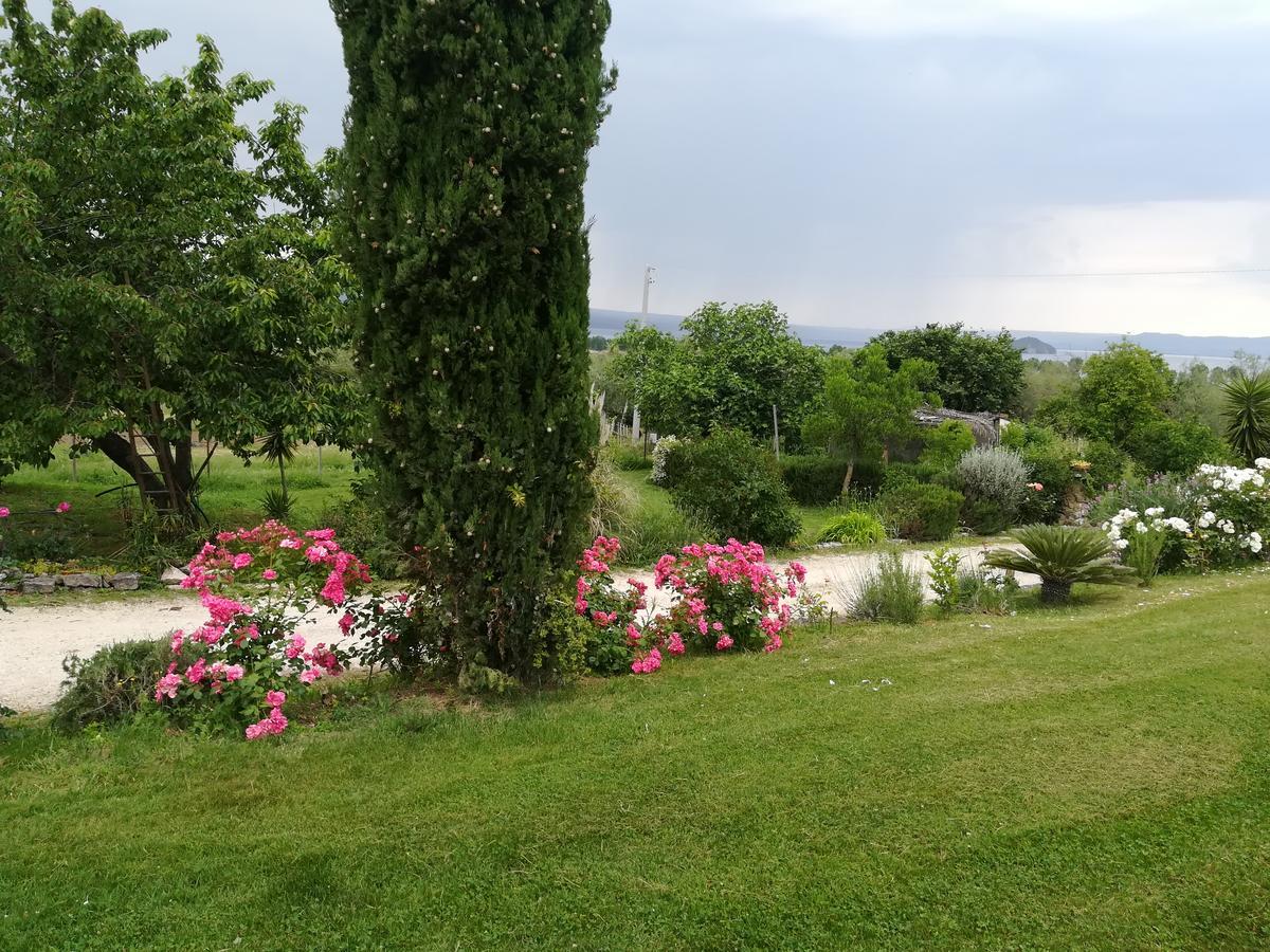 Agriturismo Santa Maria Marta Bagian luar foto